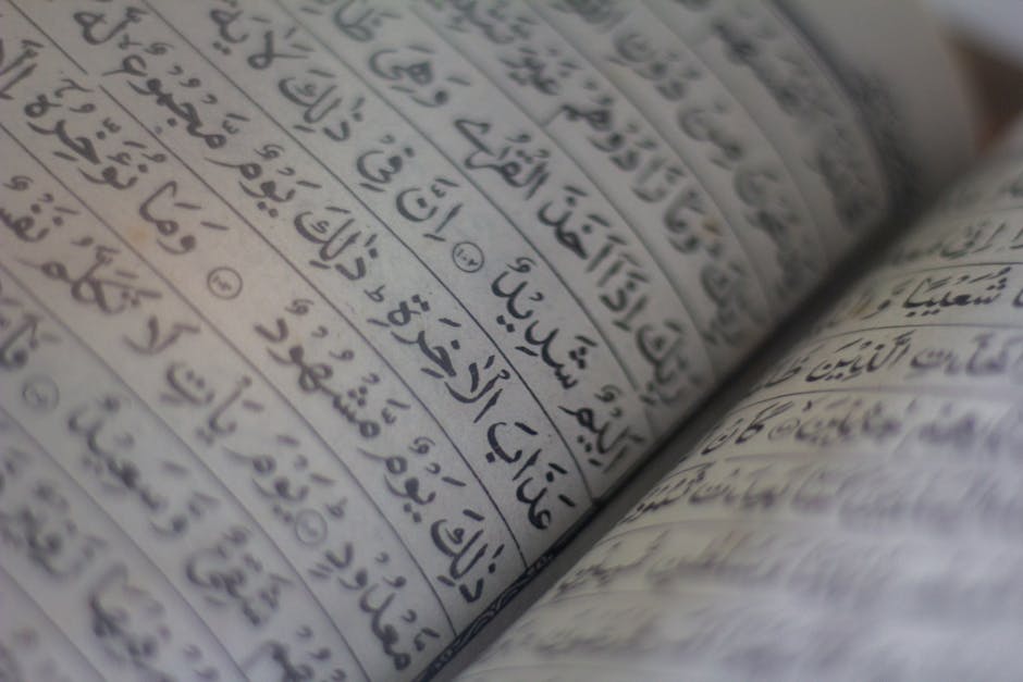 The Arabic Alphabet and Its Role in Education Reform